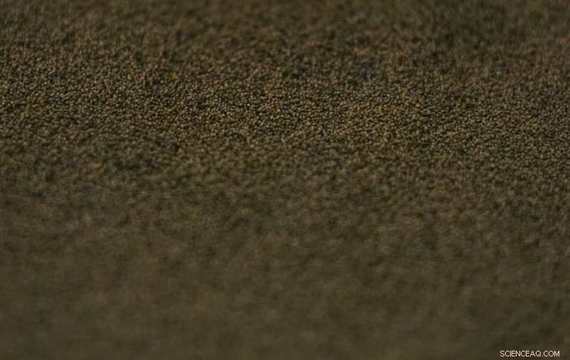 Preserving Ahuautle: The Fight to Save Mexico s Traditional Caviar