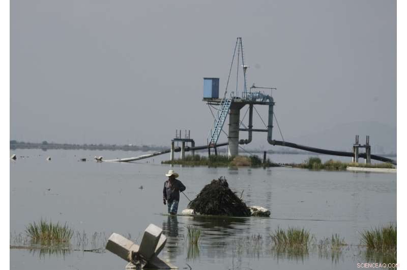 Preserving Ahuautle: The Fight to Save Mexico s Traditional Caviar