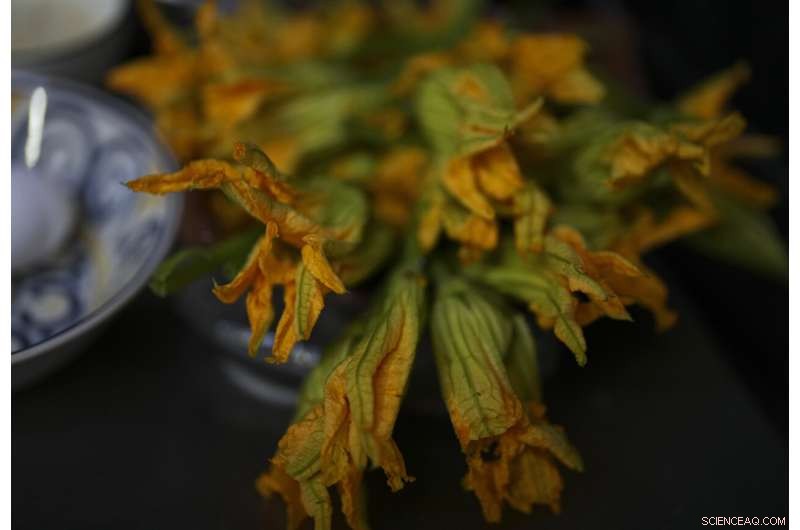 Preserving Ahuautle: The Fight to Save Mexico s Traditional Caviar