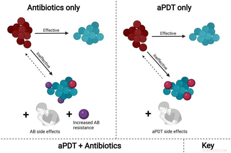Photodynamic Therapy (aPDT): Effective Light-Based Treatment for Antibiotic-Resistant Bacteria
