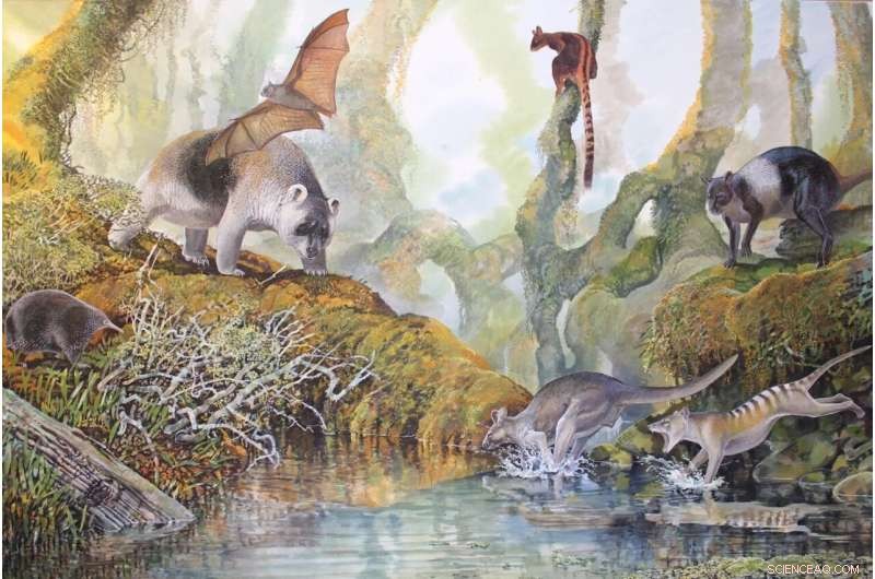 Papua New Guinea s Megafauna Persisted Long After Human Arrival