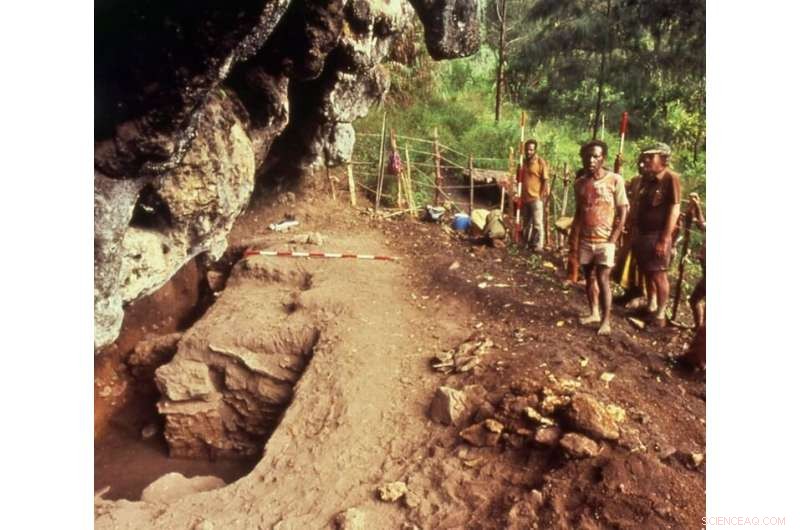 Papua New Guinea s Megafauna Persisted Long After Human Arrival