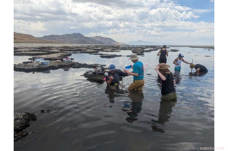 Great Salt Lake on Brink of Ecosystem Collapse as Water Levels Plummet and Salinity Soars