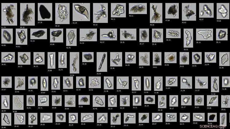Garibaldi Fjord s Glacier Flour: Advanced Imaging Reveals Mineral Particles in Patagonian Meltwater