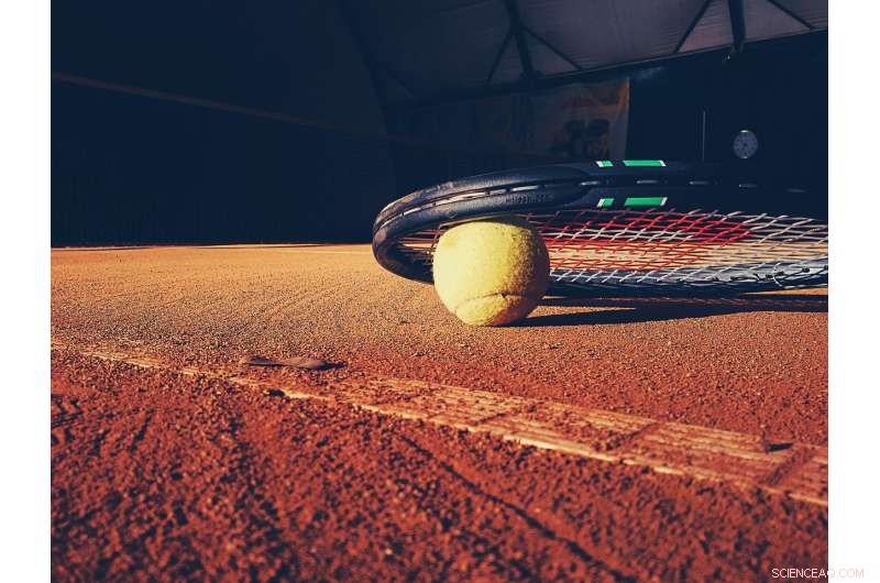 Serbian Scientists Name New Insect Species After Novak Djokovic for Its Speed and Tenacity