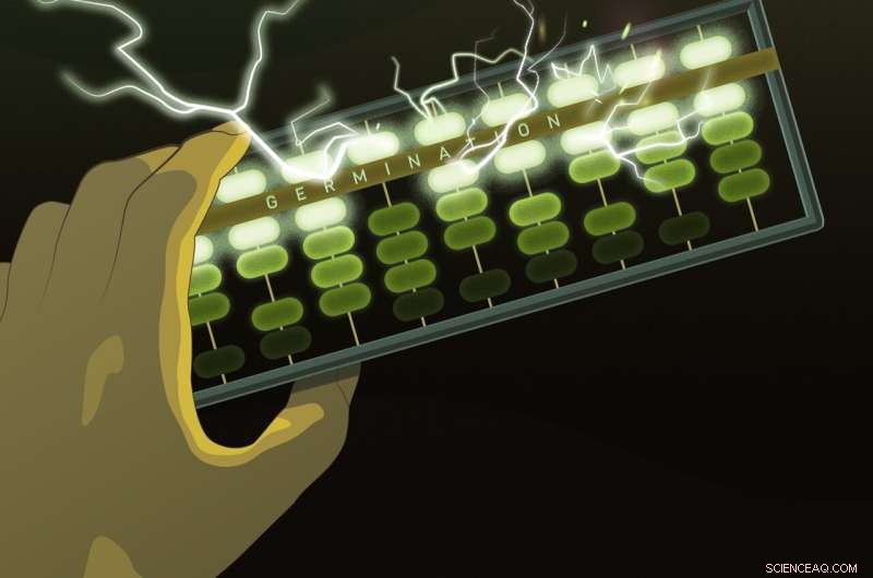 The Computational Spores: How Dormant Bacteria Calculate Their Resurrection