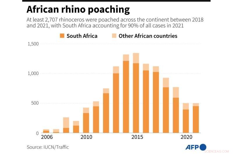 Rhinos Remain Under Acute Threat Despite Poaching Decline, Says IUCN
