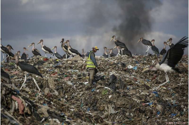 Climate Change Endangers Africa s Migratory Birds with Droughts