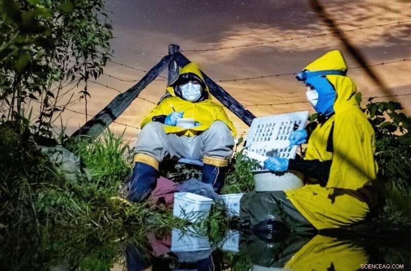 Parasitic Fungus-Infected Fly Wins Second BMC Ecology and Evolution Image Competition