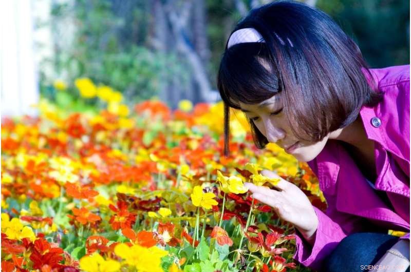 Johns Hopkins Study Overturns Prevailing Theory on Cellular Signal Transduction