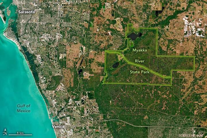 Myakka River State Park: Florida s Largest and Oldest Wildlife Sanctuary