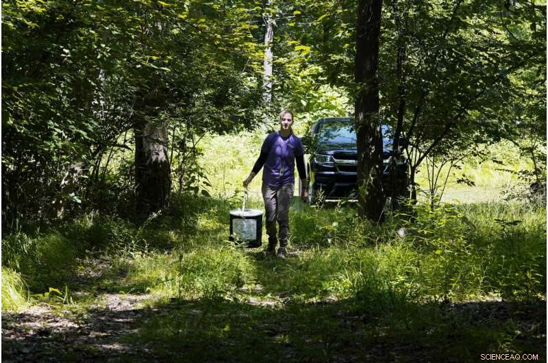 The Rise of Professional Mosquito Control: Navigating Climate Change and Pesticide Risks