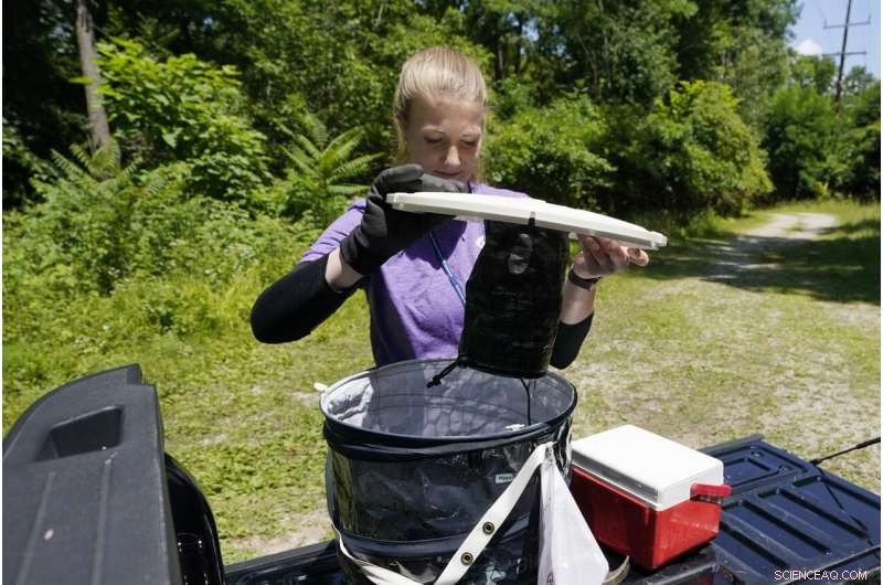 The Rise of Professional Mosquito Control: Navigating Climate Change and Pesticide Risks