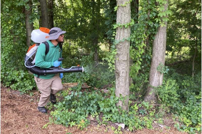 The Rise of Professional Mosquito Control: Navigating Climate Change and Pesticide Risks