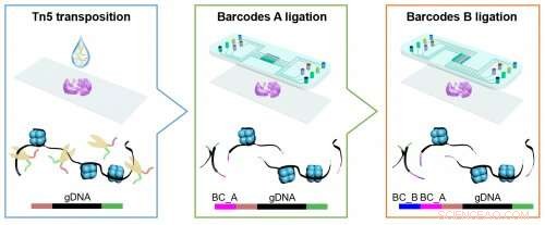 Yale and Karolinska Institutet Develop Precision Tech for Molecular Mapping of Cells in Tissues