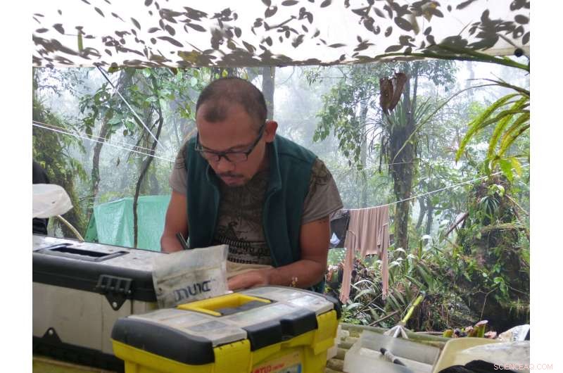 Balete s Mouse Discovery Key to Philippine Eagle Conservation