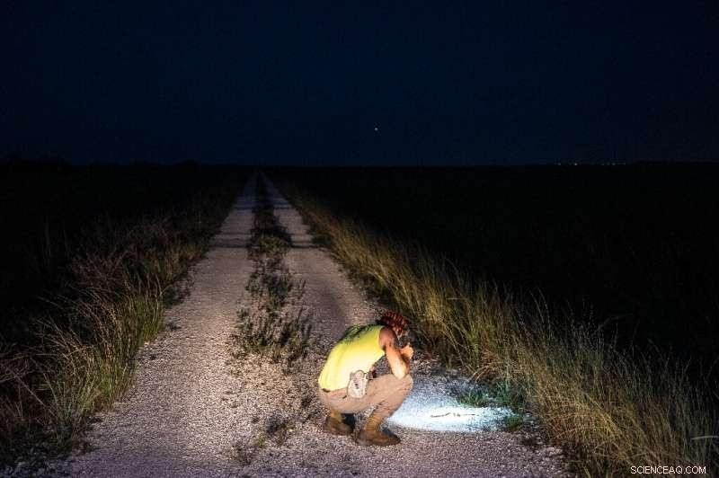 Professional Hunter Combats Florida s Python Invasion for Profit and Therapy