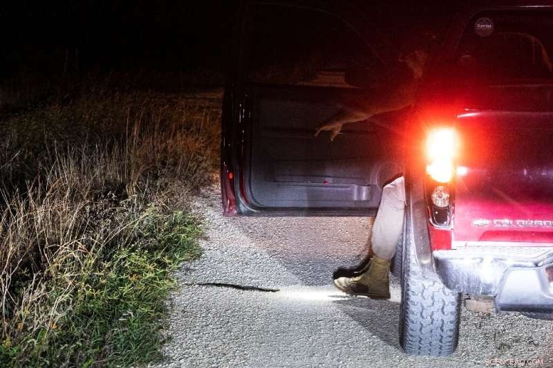 Professional Hunter Combats Florida s Python Invasion for Profit and Therapy