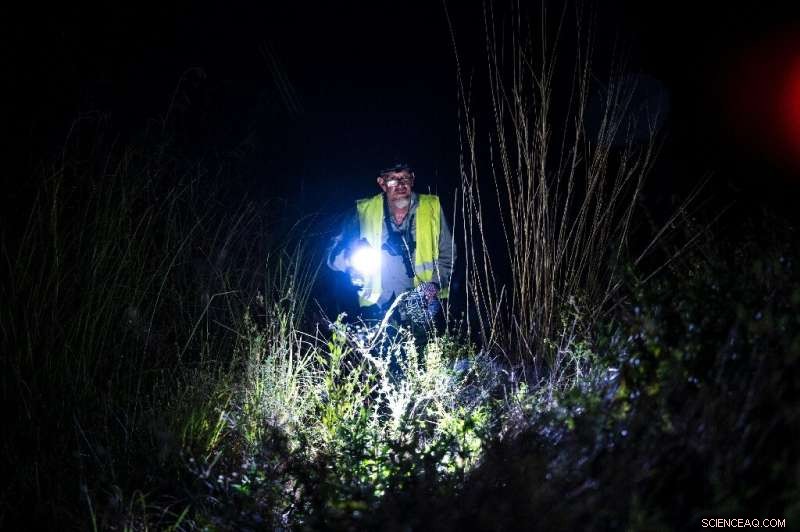 Professional Hunter Combats Florida s Python Invasion for Profit and Therapy