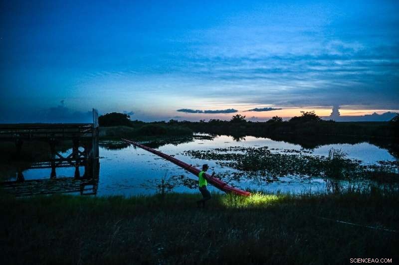 Professional Hunter Combats Florida s Python Invasion for Profit and Therapy