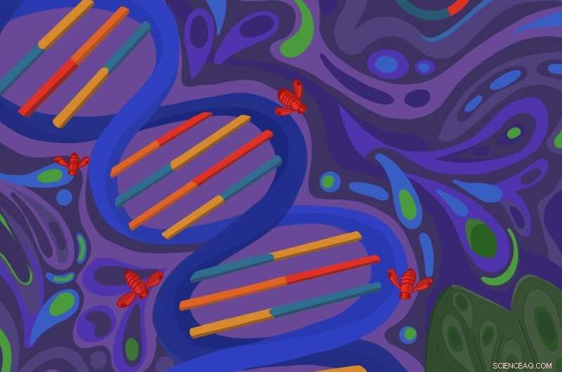 UC San Diego Researchers Use CRISPR to Target Invasive Fruit Fly Pest