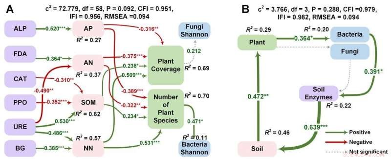 Soil Microbial Enzymes Drive Ecological Recovery in Loess Plateau Mine Restoration