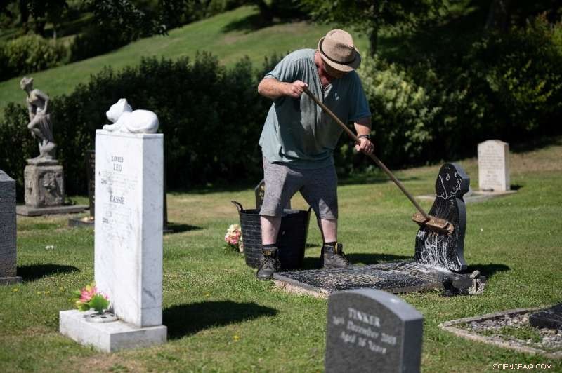 UK Pet Owners Confront 10% Rise in Cremation Costs Amid Record Inflation