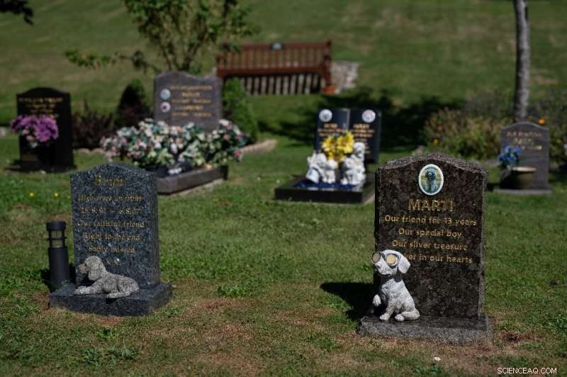 UK Pet Owners Confront 10% Rise in Cremation Costs Amid Record Inflation