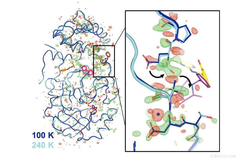 First High-Resolution 3D Structure of SARS-CoV-2 Main Protease at Human Body Temperature