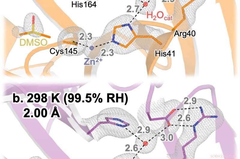 First High-Resolution 3D Structure of SARS-CoV-2 Main Protease at Human Body Temperature