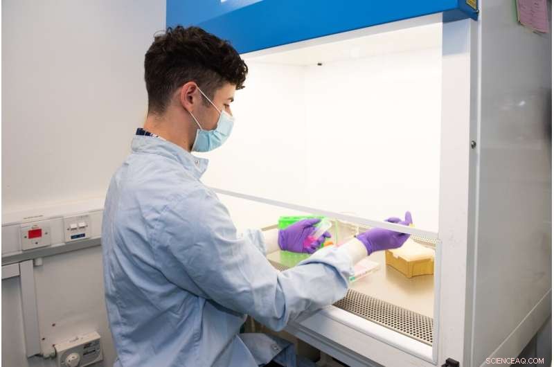 Breakthrough: Validated Polymer Freezing Technique for Ready-to-Use Cells Accelerates Biomedical Research