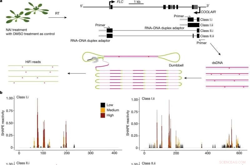 Environmental Impacts on RNA Structure: Insights from smStructure-seq in Living Cells