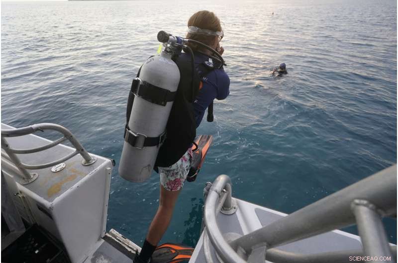 University of Miami Researchers Develop Hybrid Coral Reef to Restore Miami s Marine Ecosystems