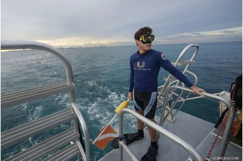 University of Miami Researchers Develop Hybrid Coral Reef to Restore Miami s Marine Ecosystems