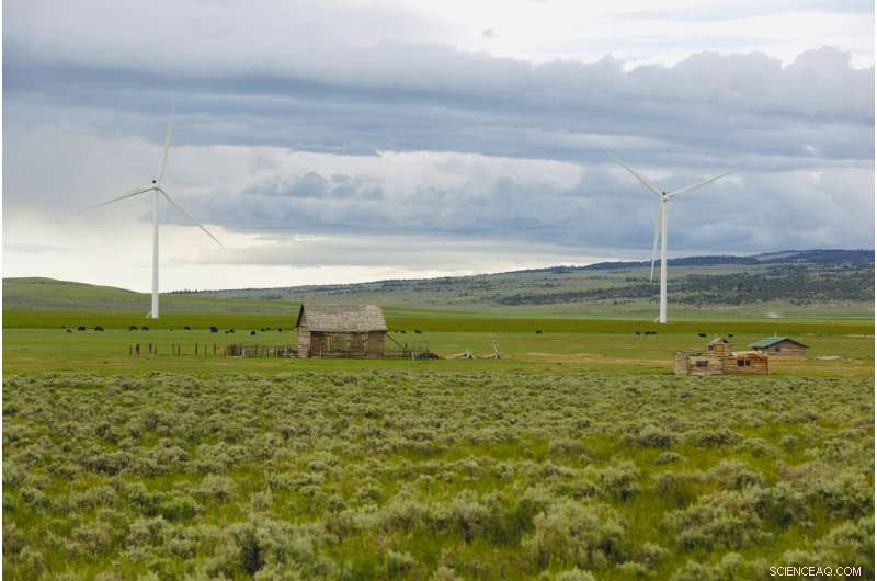 Wind Energy Expansion Threatens Golden Eagle Populations in the Western US