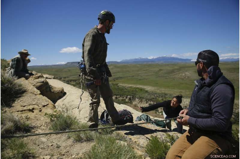 Wind Energy Expansion Threatens Golden Eagle Populations in the Western US