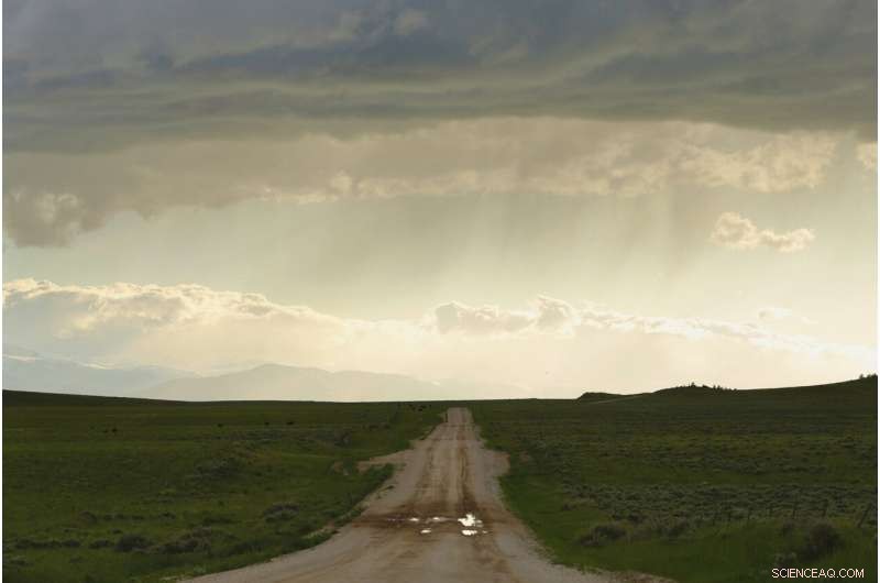 Wind Energy Expansion Threatens Golden Eagle Populations in the Western US