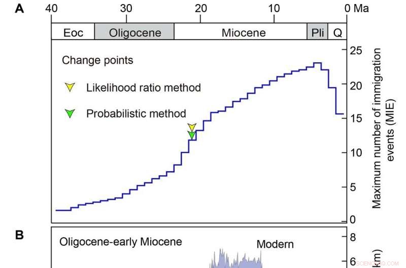 Revealing the Biotic Colonization History of Subtropical East Asian Caves