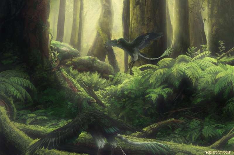 Ancient Bird Fossil Reveals Earliest Evidence of Fruit-Eating, Crucial for Plant Dispersal