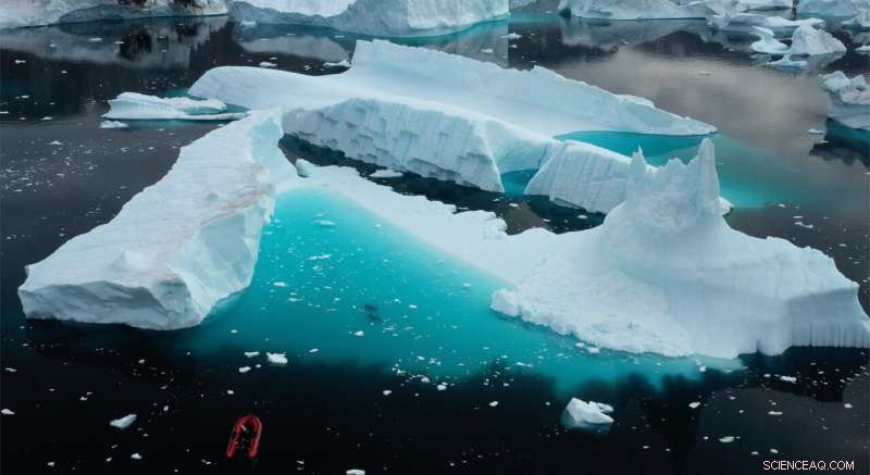 Antifreeze Protein Abundance in Greenland s Iceberg-Dwelling Snailfish