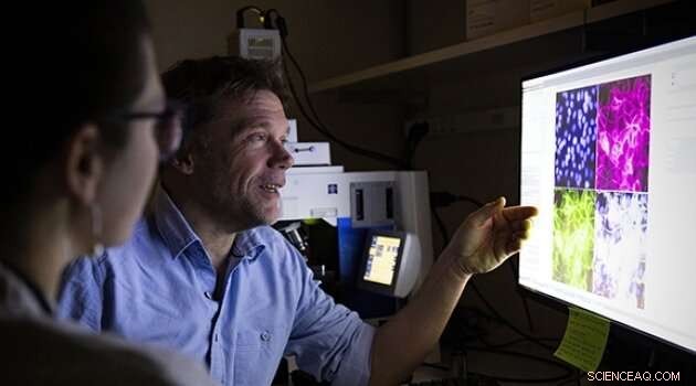 MolBoolean: Advanced Technology for Precise Protein Activity Analysis in Cells