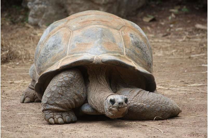 EICAT+ Framework: Standardized Method for Assessing Non-Native Species Benefits