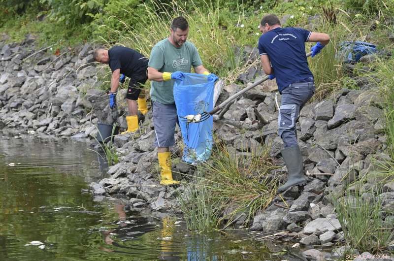 Oder River Fish Kill Mystery: High Salinity Detected, Mercury Absent