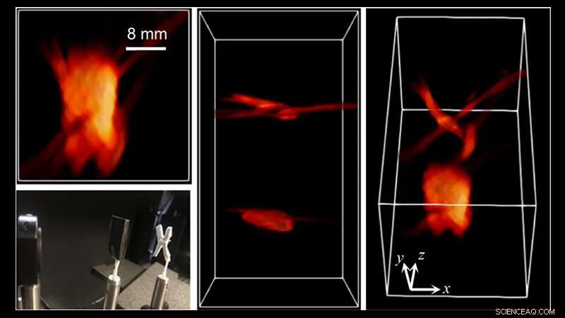 UCLA Bioengineers Develop Bionic 3D Cameras Mimicking Fly Vision and Bat Echolocation