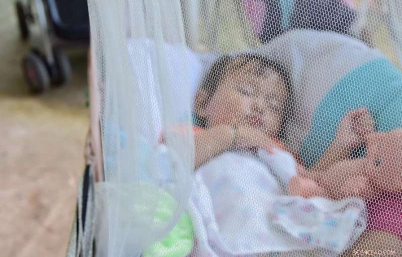 Mathematics in Malaria Treatment: Strategic Pathways to WHO s 2030 Elimination Goals