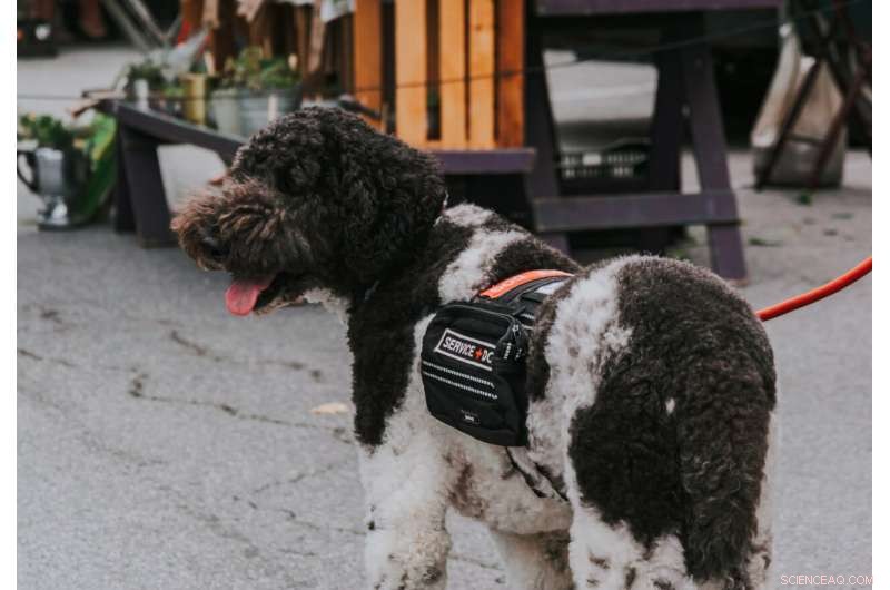 La Trobe University Study Proposes Standardized Job Titles for Support Animals