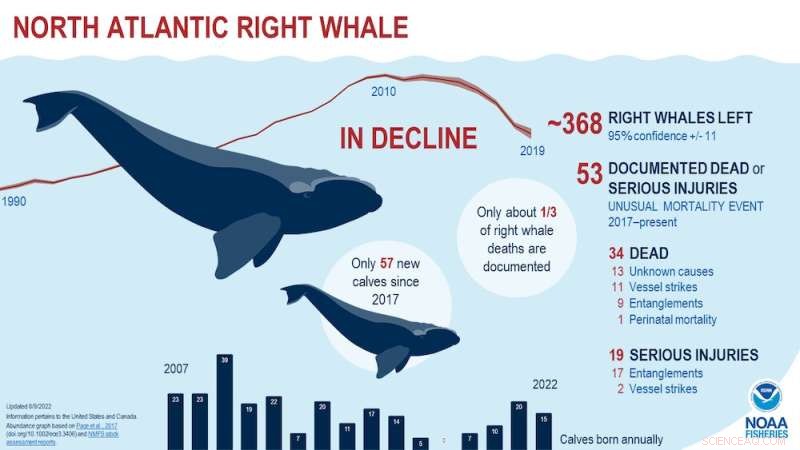 Soviet Whaling s Hidden Impact: Covert Scientific Tracking of Whale Decline