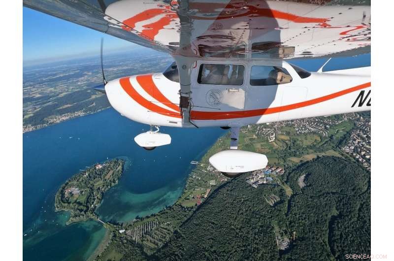 Unusual Moths  Epic Migration: Scientists Uncover Secret Navigational Skills