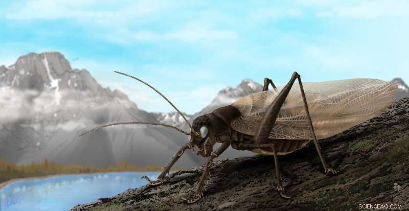 Scientists Digitally Recreate 150-Year-Old Katydid Song to Aid Rediscovery