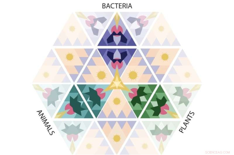 Universal Antiviral Defense Mechanism Discovered in Bacteria and All Life Forms